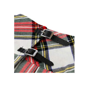 Tartan Kilt For Ladies - Image 3